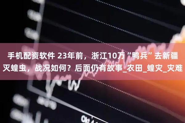 手机配资软件 23年前，浙江10万“鸭兵”去新疆灭蝗虫，战况如何？后面仍有故事_农田_蝗灾_灾难