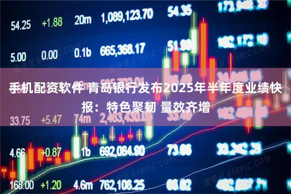 手机配资软件 青岛银行发布2025年半年度业绩快报：特色聚韧 量效齐增